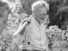 Trotsky: un gran logro