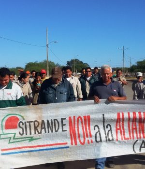 El sector eléctrico en peligro
