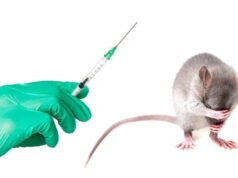 Ratas paraguayas y vacunas en Miami