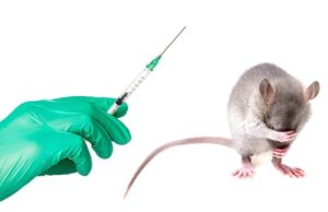 Ratas paraguayas y vacunas en Miami