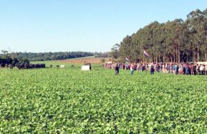 ¡A frenar el intento de legalizar las tierras malhabidas!