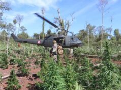 La tierra debe ser para quien la trabaja, no para narcos ni para sus protectores en el Estado