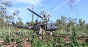 La tierra debe ser para quien la trabaja, no para narcos ni para sus protectores en el Estado