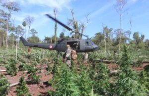 La tierra debe ser para quien la trabaja, no para narcos ni para sus protectores en el Estado